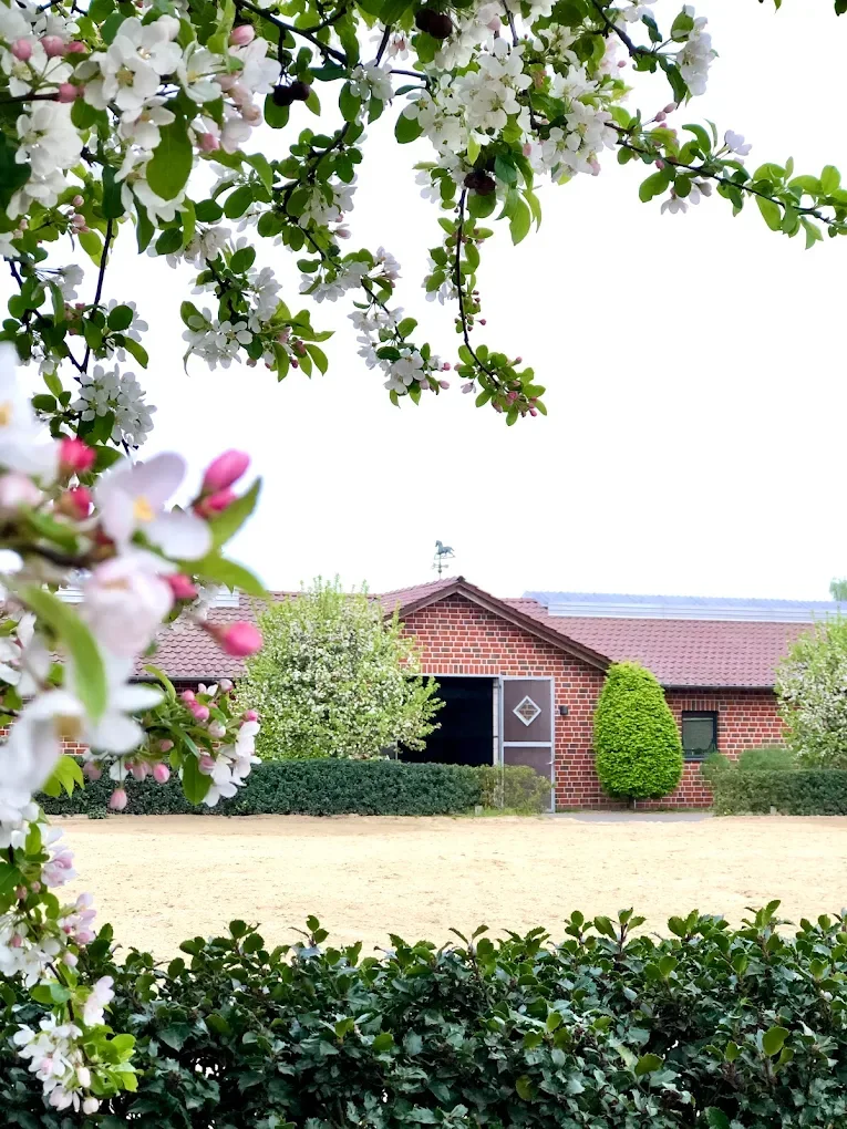 Stallgebäude von Lenabieler Stables mit Blüten im Vordergrund